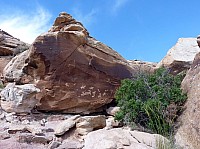 Arches NP Petroglyphs Wolfe Ranch (3).JPG